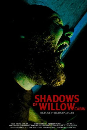 Shadows of Willow Cabin 2025 Dual Audio WEBRip | Dubbed Hindi Movie