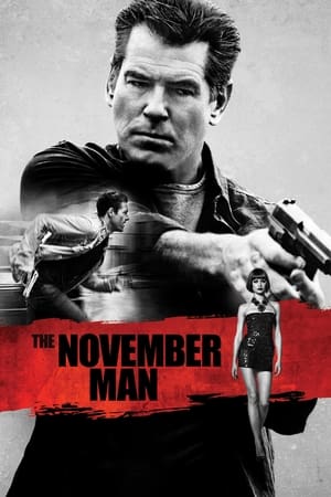 The November Man 2014 Dual Audio [ - English] | Dubbed Hindi Movie BluRay 350MB